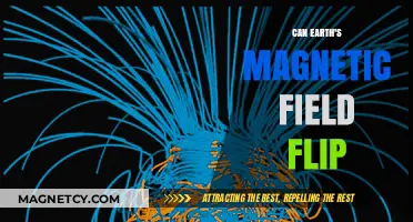 Earth's Magnetic Field Flip: Possibility, Impact, and Scientific Insights