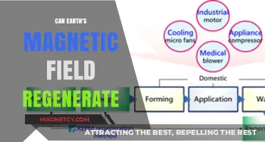 Earth's Magnetic Field: Can It Naturally Regenerate Over Time?