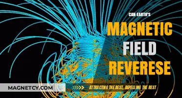 Earth's Magnetic Field Reversal: What It Means for Our Planet