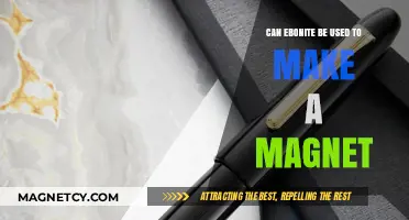 Exploring Ebonite's Magnetic Potential: Can It Create Functional Magnets?