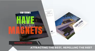 Can EDDMs Include Magnets? Exploring USPS Guidelines and Design Options