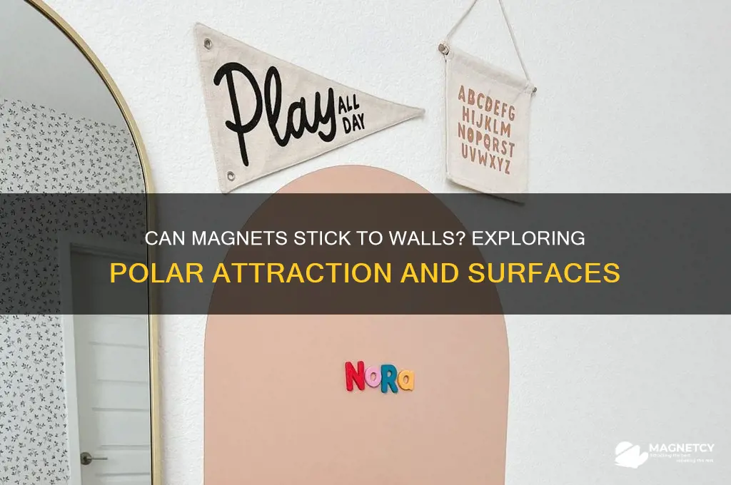can either pole of a magnet stick to the wall