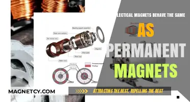 Do Electrical Magnets Match Permanent Magnets in Behavior and Strength?