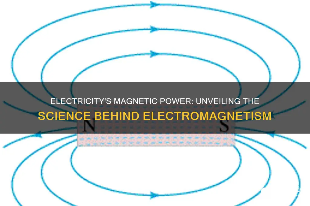 can electricity produce a magnet