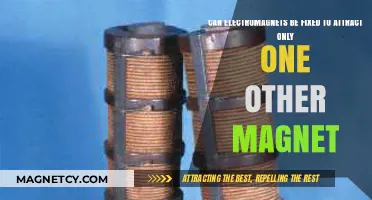 Can Electromagnets Be Programmed to Attract a Single Magnet?