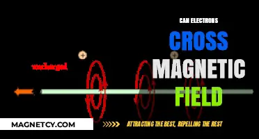 Can Electrons Traverse Magnetic Fields? Unraveling the Science Behind It