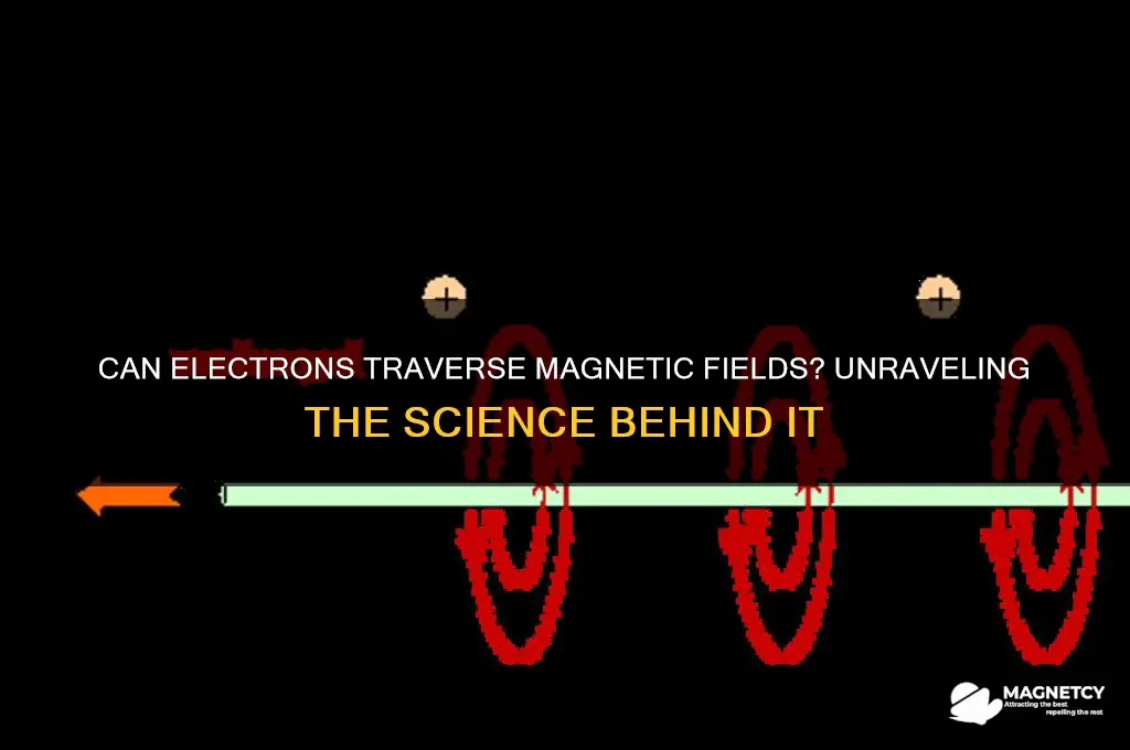 can electrons cross magnetic field