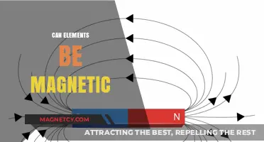 Can Elements Be Magnetic? Exploring the Science Behind Magnetism