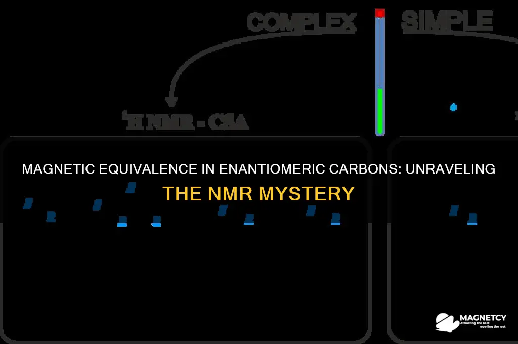 can enantiomeric carbons be magnetically equivilant