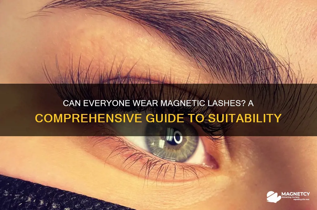can everyone where magnetic lashes
