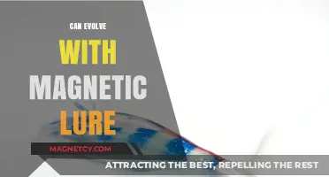 Magnetic Lure Evolution: Unlocking New Possibilities in Modern Fishing Techniques