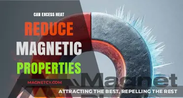 Excess Heat's Impact on Magnetic Properties: A Comprehensive Analysis