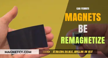 Reviving Ferrite Magnets: Can They Be Remagnetized and Reused?