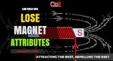 Can Field Coils Lose Magnetic Properties Over Time? Explained