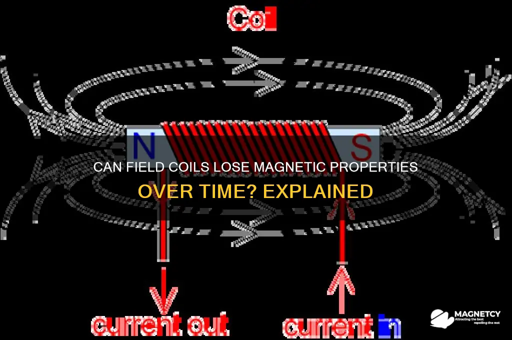 can field coil lose magnet attributes