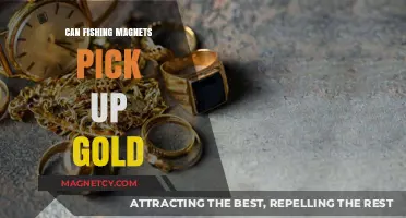 Can Fishing Magnets Detect and Retrieve Gold? Unveiling the Truth