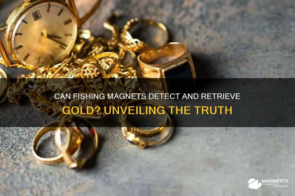 can fishing magnets pick up gold