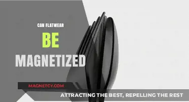 Can Flatware Be Magnetized? Exploring the Science Behind Metal Utensils