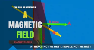 Exploring the Mysteries of Negative Flux in Magnetic Fields
