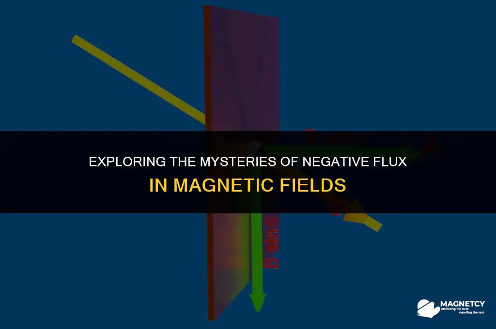 can flux be negative in a magnetic field