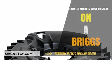 Flywheel Magnets and No Spark: Troubleshooting Briggs Engine Issues
