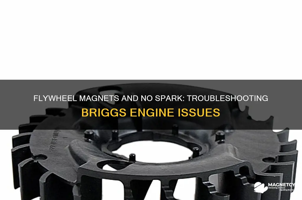 can flywheel magnets cause no spark on a briggs