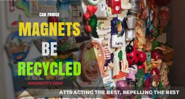 Recycling Fridge Magnets: Eco-Friendly Disposal and Reuse Tips