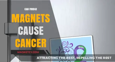 Can Fridge Magnets Cause Cancer? Separating Fact from Fiction