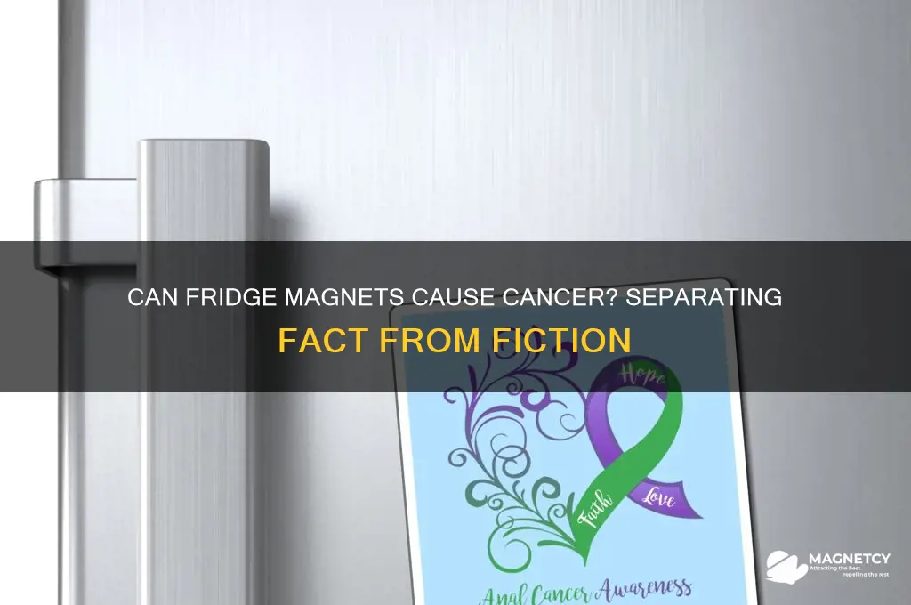 can fridge magnets cause cancer