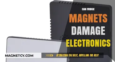 Can Fridge Magnets Harm Your Electronics? Facts and Myths Explained