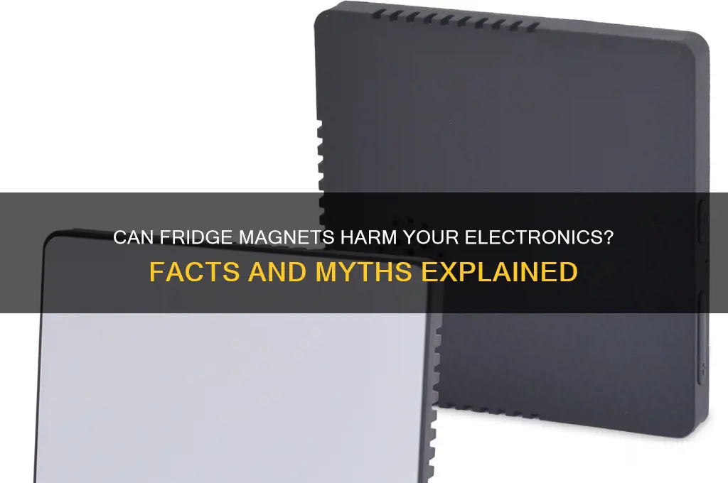 can fridge magnets damage electronics