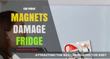 Do Fridge Magnets Pose a Risk to Your Refrigerator?