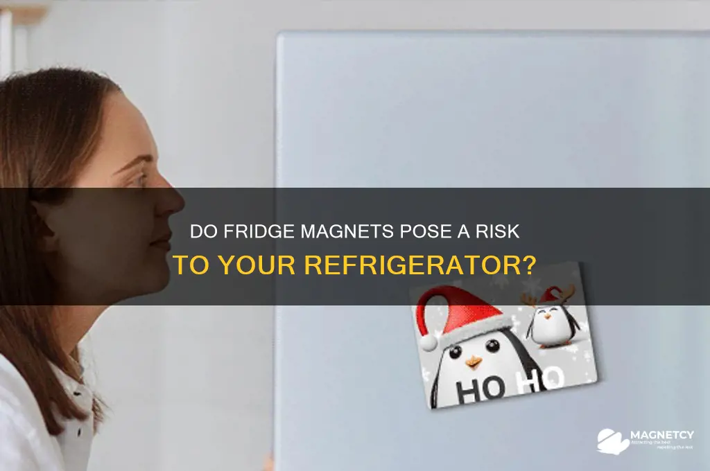 can fridge magnets damage fridge