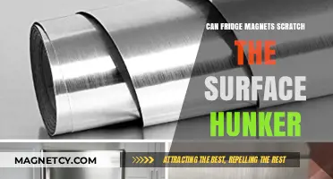Do Fridge Magnets Scratch Surfaces? Hunker's Guide to Protecting Your Fridge