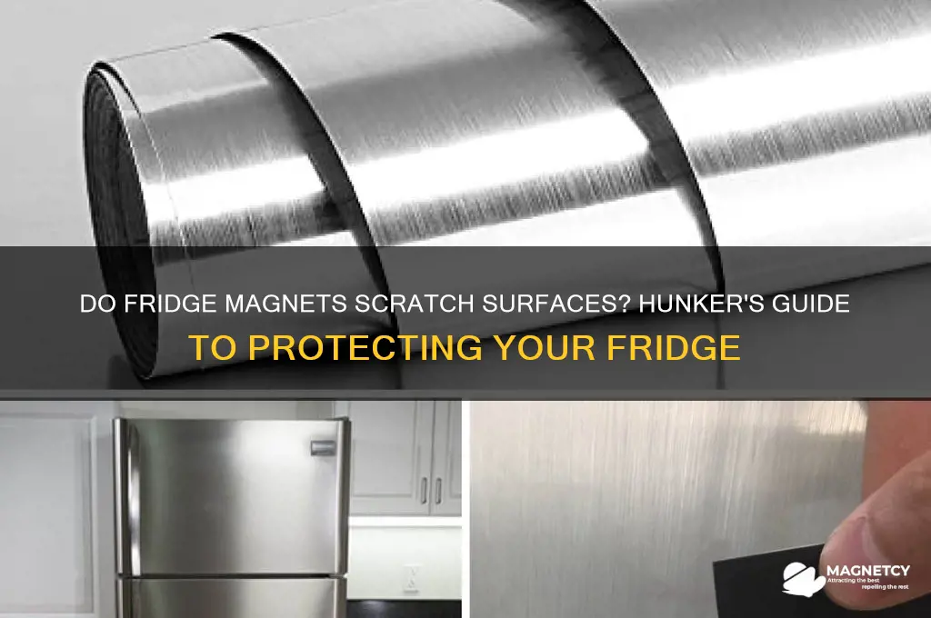 can fridge magnets scratch the surface hunker