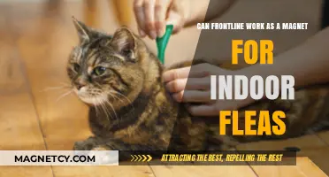 Frontline's Power: Can It Attract and Eliminate Indoor Fleas Effectively?