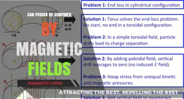 Magnetic Confinement: The Key to Controlling Fusion Energy?