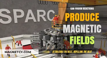 Can Fusion Reactions Generate Magnetic Fields? Exploring the Science