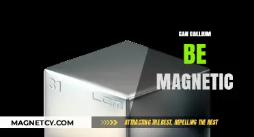 Exploring Gallium's Magnetic Properties: Facts, Myths, and Scientific Insights