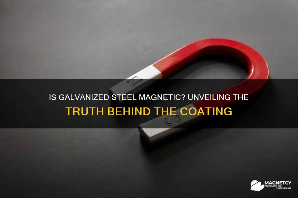 can galvanized steel be magnetic
