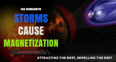 Geomagnetic Storms and Magnetization: Unraveling the Earth's Magnetic Mystery