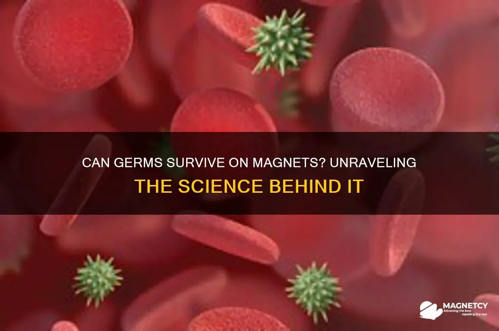 can germs live on magnets