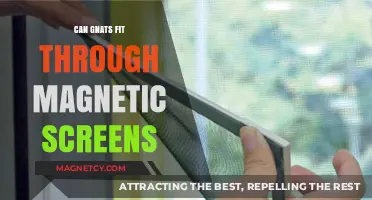 Can Gnats Pass Through Magnetic Screens? A Detailed Examination