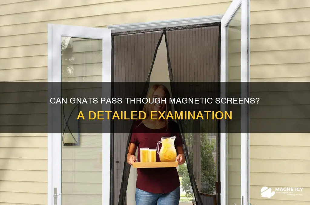 can gnats fit through magnetic screens