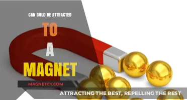 Is Gold Magnetic? Unveiling the Truth About Gold and Magnets