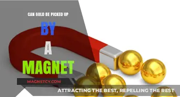 Is Gold Magnetic? Unveiling the Truth About Magnets and Gold