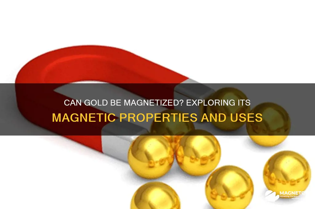 can gold be used for a magnet