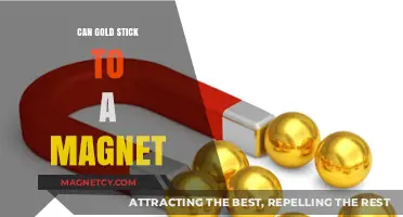 Does Gold Stick to Magnets? Unveiling the Truth Behind the Myth