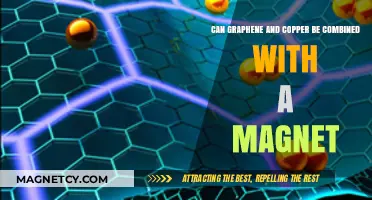 Graphene-Copper Fusion: Exploring Magnetic Integration Possibilities and Applications