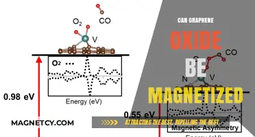 Exploring Graphene Oxide's Magnetic Potential: Can It Be Magnetized?